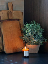 Load image into Gallery viewer, Restore - Rosemary, Sage &amp; Thyme