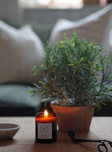 Load image into Gallery viewer, Restore - Rosemary, Sage &amp; Thyme